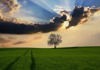Campagne