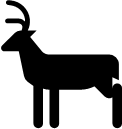 Le grand cerf