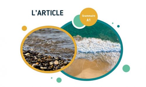 Fiche pédagogique sur l'article FLE A1