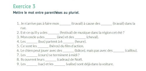 Extrait de la fiche pédagogique de RessourcesFLE sur le pluriel des noms