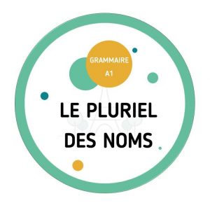 Fiche pédagogique sur le pluriel des noms
