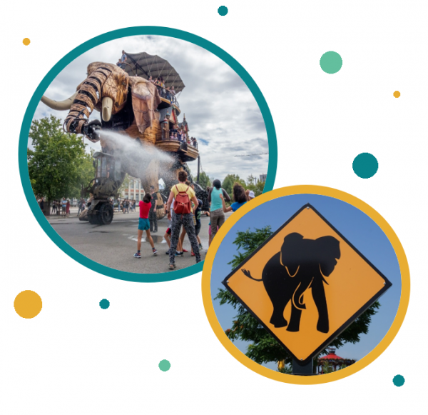 activité fle nantes