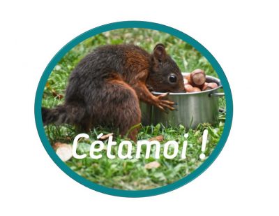 Cétamoi!