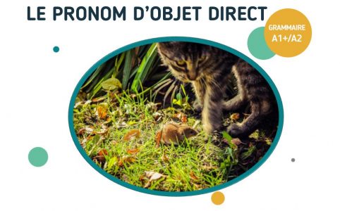 Fiche pédagogique sur le pronom d'objet direct